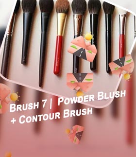 Best brush for blush application