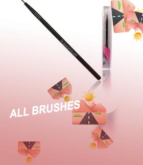 Eyeliner brush thin