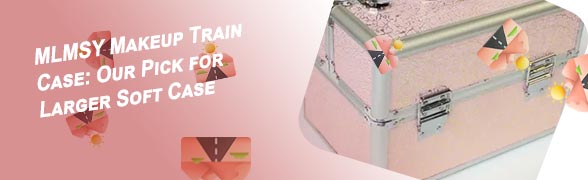 Professional makeup case