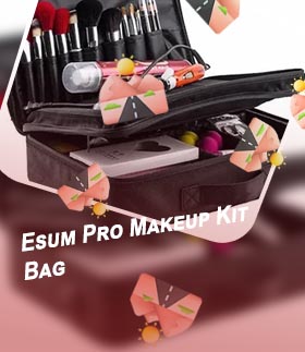 Professional makeup travel bag