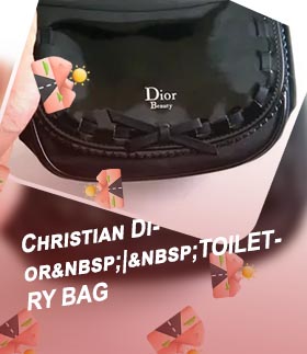 Toiletry bag dior