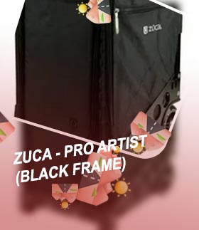 Zuca pro artist case
